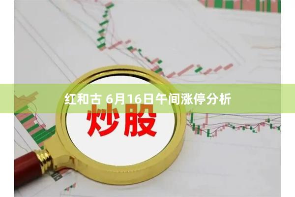 红和古 6月16日午间涨停分析