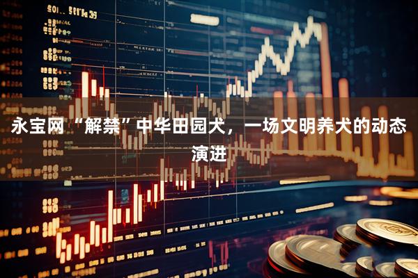 永宝网 “解禁”中华田园犬，一场文明养犬的动态演进