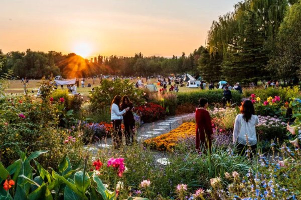 优配交易 京城拍客｜欢乐游园