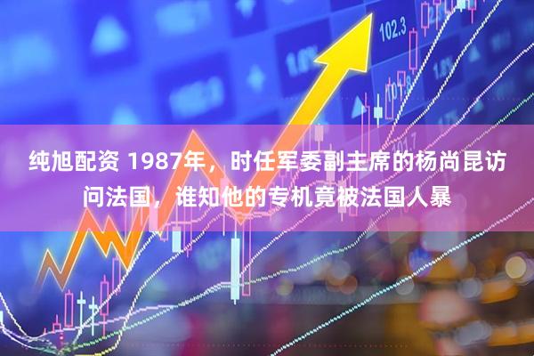 纯旭配资 1987年，时任军委副主席的杨尚昆访问法国，谁知他的专机竟被法国人暴